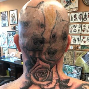 Meet your Posher, Daniel